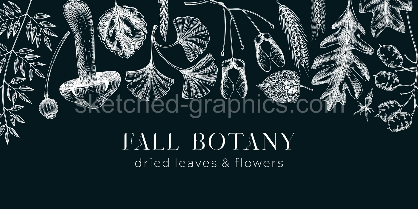 Autumn banner with fallen leaves and dried flowers. Sketched botanical border template on chalkboard. Dried herbs, fall leaves, mushrooms, and fruit illustration. Thanksgiving background. Illustration